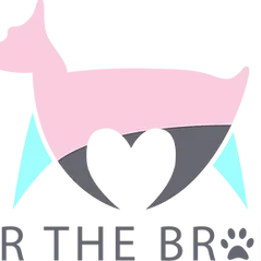 FUR THE BRAND - Animal Non-profit Foundation