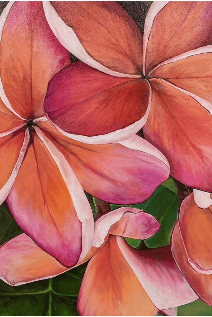 "Plumeria Love" Giclee Art Print by Julie Davis Veach