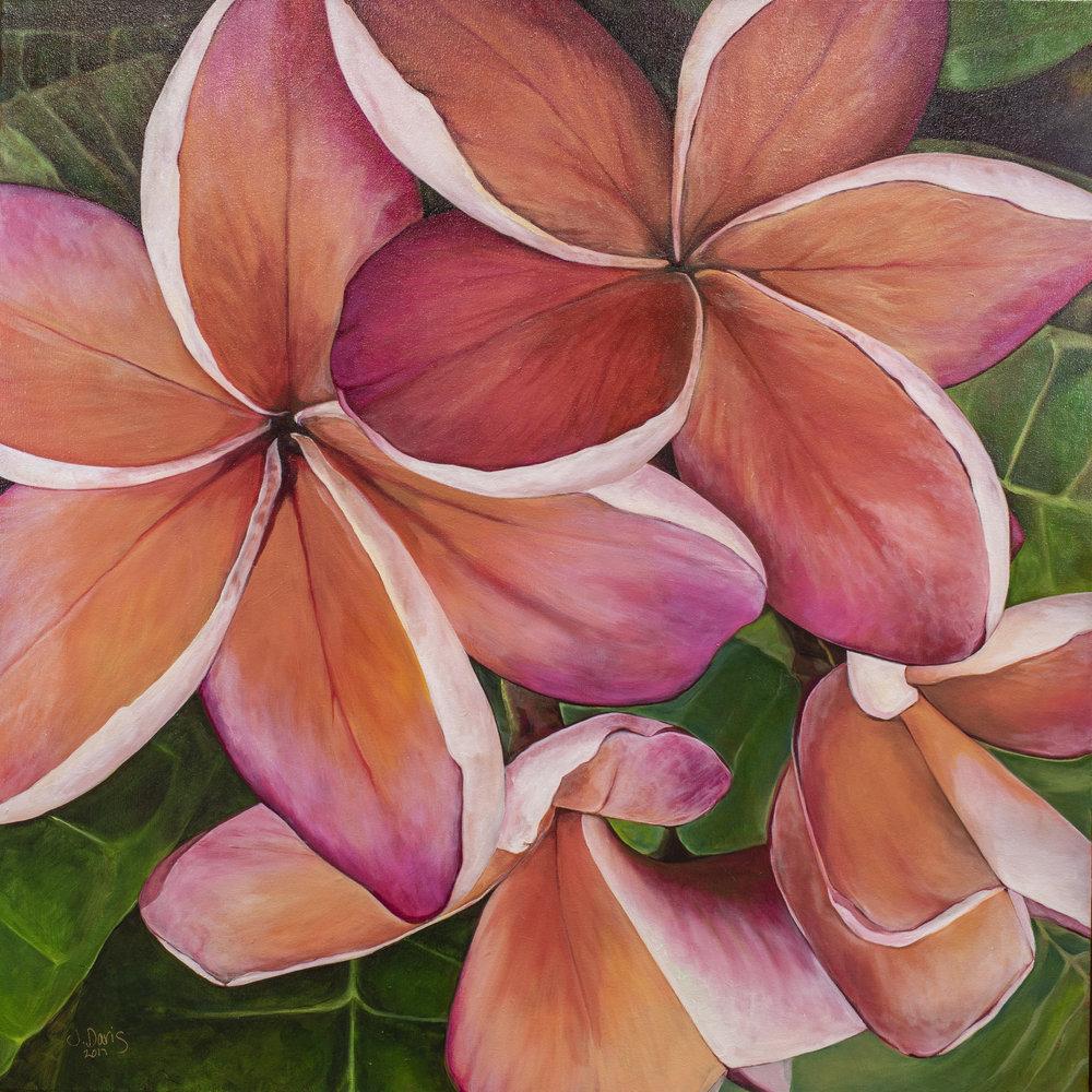 "Plumeria Love" original painting on canvas by Julie Davis