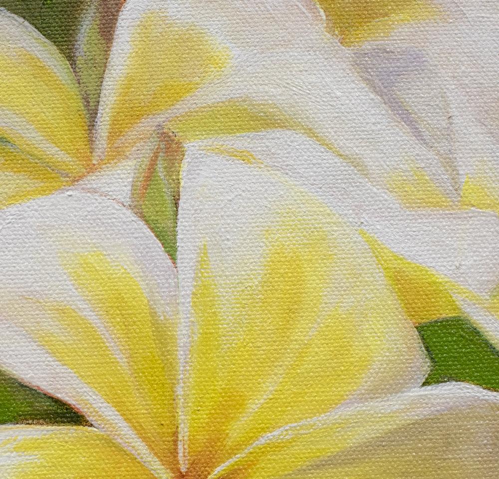 "Plumeria Morning" original painting by Julie Davis detail