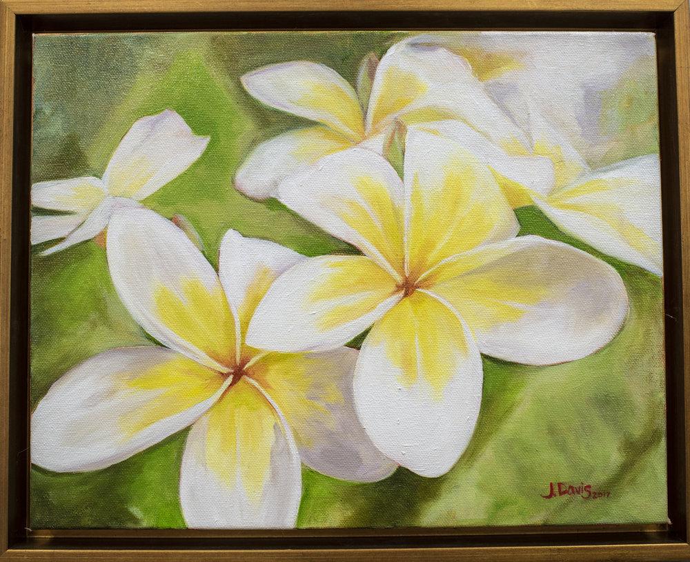 "Plumeria Morning" original painting by Julie Davis framed in contemporary gold float frame