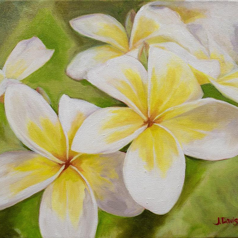 "Plumeria Morning" original painting by Julie Davis