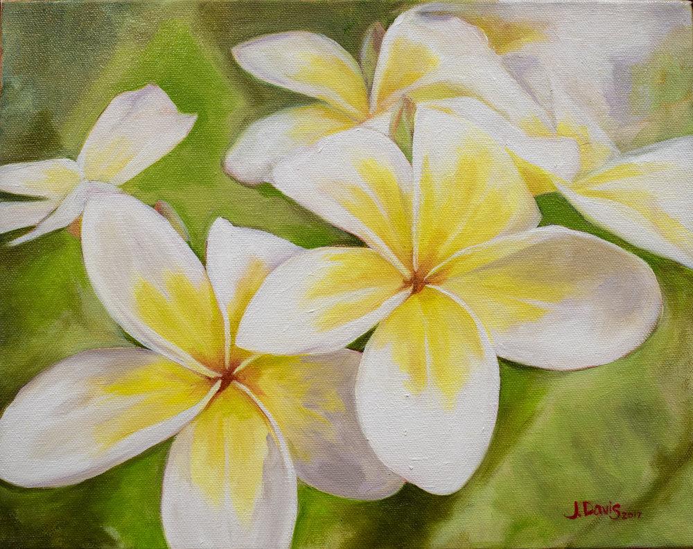 "Plumeria Morning" original painting by Julie Davis