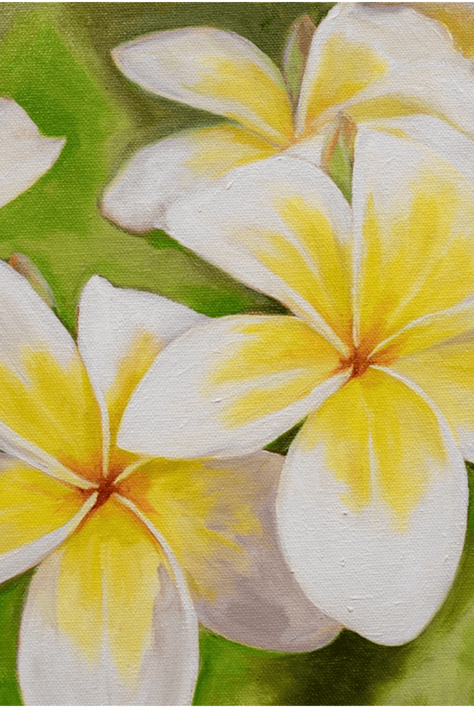 "Plumeria Morning" Giclee Art Print