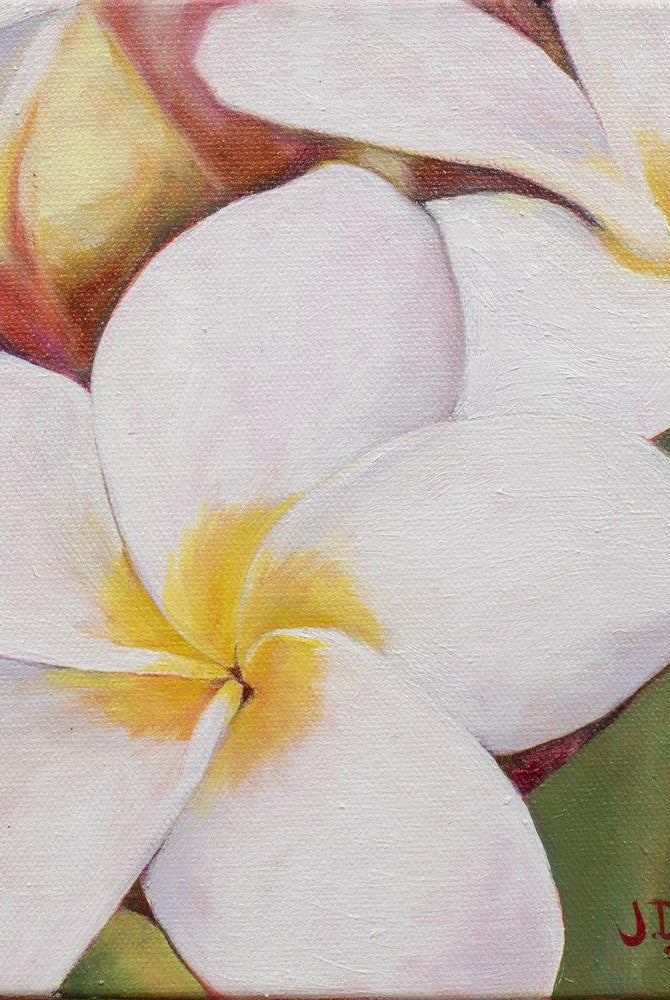 "Little Plumeria" 8x8" Original on Canvas by Julie Davis Veach