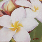 "Little Plumeria" 8x8" Original on Canvas by Julie Davis Veach