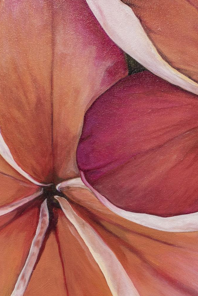 "Plumeria Love" 36x36" Original on Canvas by artist Julie Davis Veach detail